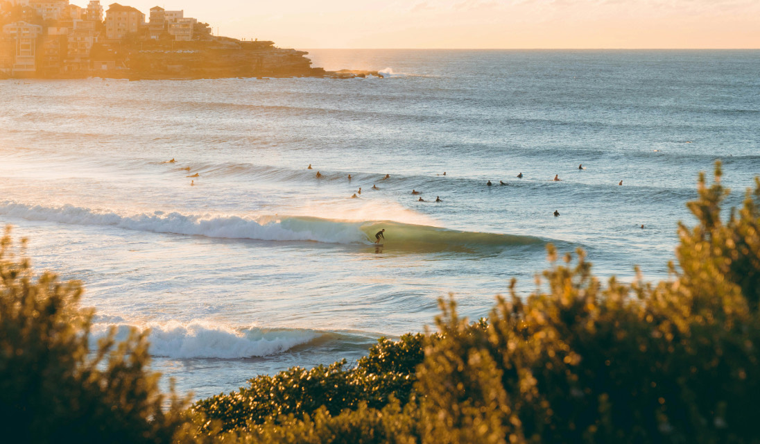 Surfers at an Australian beach